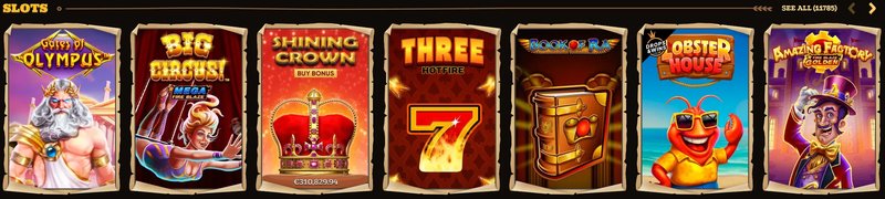 Guide to casino lizaro